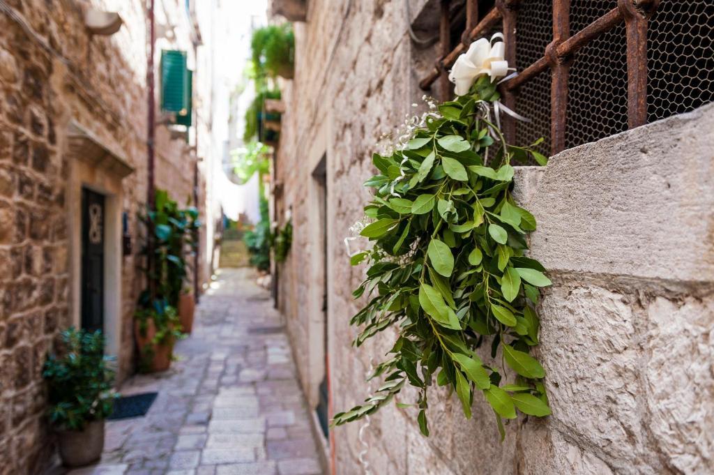 Angelus Apartments Dubrovnik Ngoại thất bức ảnh